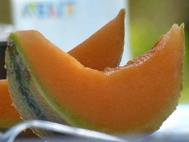 melon