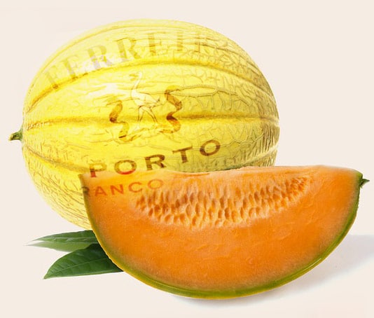 melon-porto