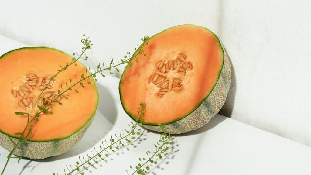 Peut-on congeler le melon ?